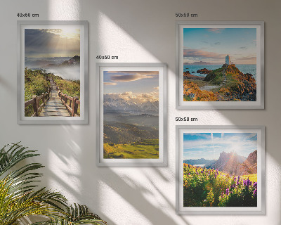 Mur de tableaux Chemin du ciel des fleurs de montagne