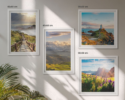 Mur de tableaux Chemin du ciel des fleurs de montagne