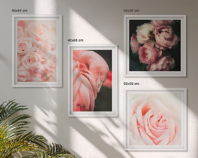 Mur de tableaux Flamants roses pastel