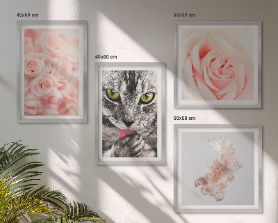 Ensemble de 4 tableaux Roses grises abstraites