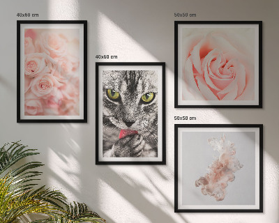 Ensemble de 4 tableaux Roses grises abstraites