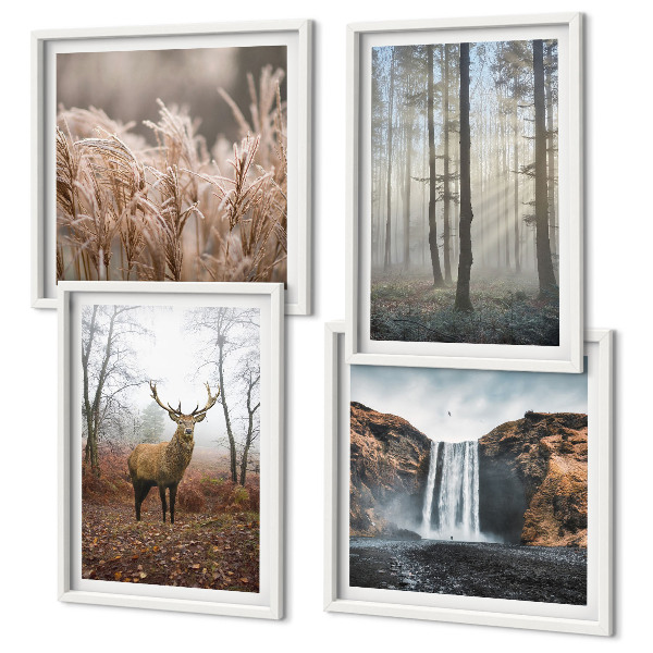 Mur de tableaux Paysages forestiers de nature sauvage