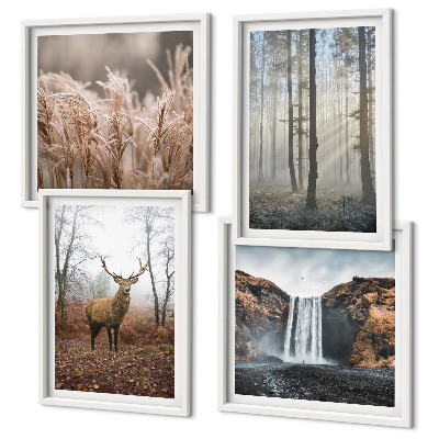 Mur de tableaux Paysages forestiers de nature sauvage