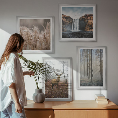 Mur de tableaux Paysages forestiers de nature sauvage