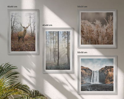 Mur de tableaux Paysages forestiers de nature sauvage