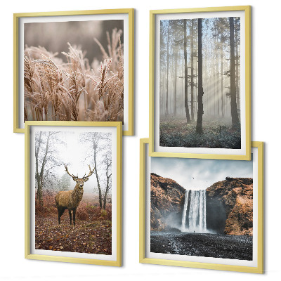 Mur de tableaux Paysages forestiers de nature sauvage