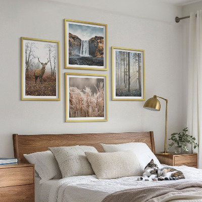 Mur de tableaux Paysages forestiers de nature sauvage