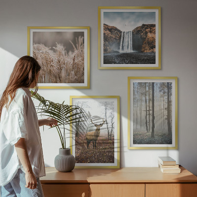 Mur de tableaux Paysages forestiers de nature sauvage