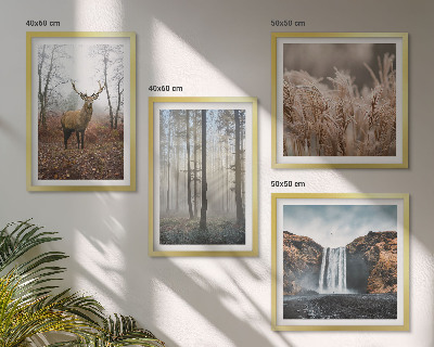 Mur de tableaux Paysages forestiers de nature sauvage