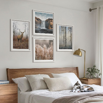 Mur de tableaux Paysages forestiers de nature sauvage