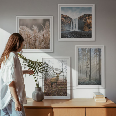 Mur de tableaux Paysages forestiers de nature sauvage