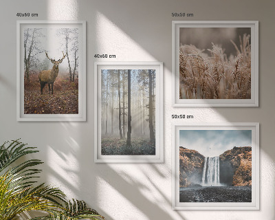 Mur de tableaux Paysages forestiers de nature sauvage