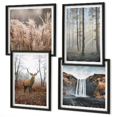 Mur de tableaux Paysages forestiers de nature sauvage