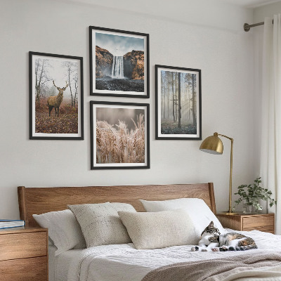 Mur de tableaux Paysages forestiers de nature sauvage