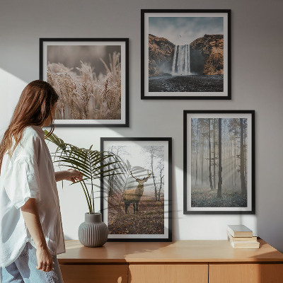 Mur de tableaux Paysages forestiers de nature sauvage