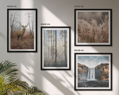 Mur de tableaux Paysages forestiers de nature sauvage
