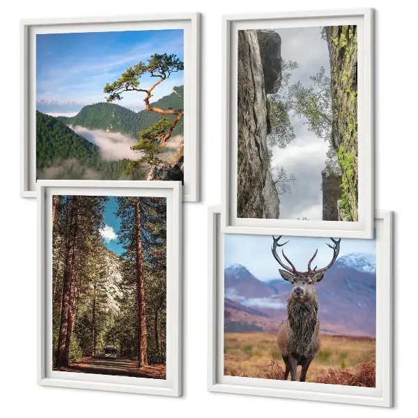 Ensemble de 4 tableaux représentant une nature sauvage avec forêt, montagnes et cerf