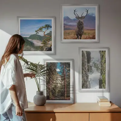 Ensemble de 4 tableaux représentant une nature sauvage avec forêt, montagnes et cerf