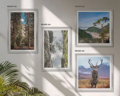 Ensemble de 4 tableaux représentant une nature sauvage avec forêt, montagnes et cerf