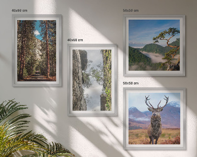 Ensemble de 4 tableaux Route forêt montagnes cerf nature