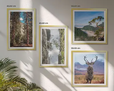 Ensemble de 4 tableaux représentant une nature sauvage avec forêt, montagnes et cerf