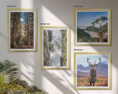 Ensemble de 4 tableaux Route forêt montagnes cerf nature