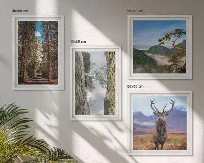 Ensemble de 4 tableaux représentant une nature sauvage avec forêt, montagnes et cerf