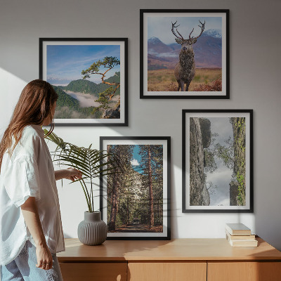Ensemble de 4 tableaux Route forêt montagnes cerf nature