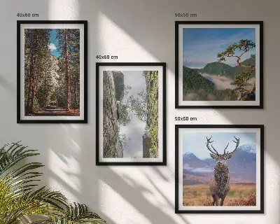 Ensemble de 4 tableaux représentant une nature sauvage avec forêt, montagnes et cerf