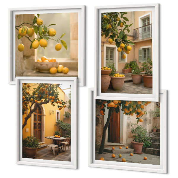Mur de tableaux Jardin d'agrumes au soleil