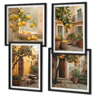 Mur de tableaux Jardin d'agrumes au soleil