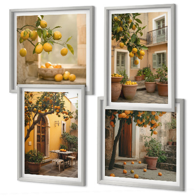 Mur de tableaux Jardin d'agrumes au soleil