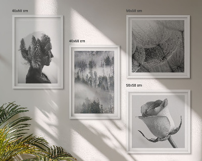 Ensemble de 4 tableaux Portrait d'une femme dans le brouillard forestier