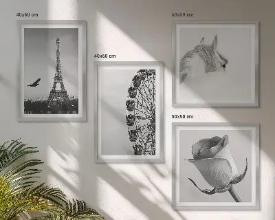 Tableau polyptyque 3 cadres motif rose tour eiffel cheval et grande roue en noir et blanc