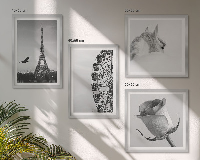 Polyptyque z cadres Rose tour eiffel cheval grande roue noir et blanc