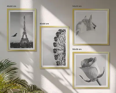 Tableau polyptyque 3 cadres motif rose tour eiffel cheval et grande roue en noir et blanc