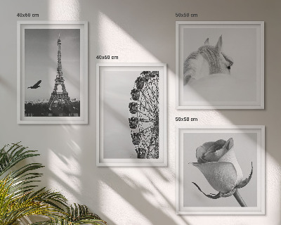 Polyptyque z cadres Rose tour eiffel cheval grande roue noir et blanc