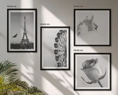 Tableau polyptyque 3 cadres motif rose tour eiffel cheval et grande roue en noir et blanc