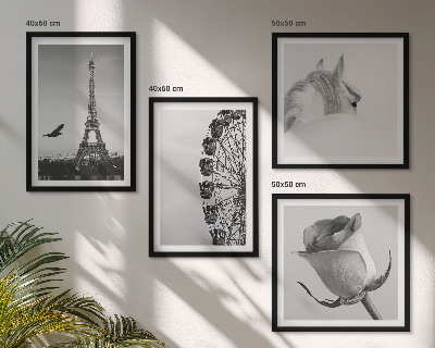 Polyptyque z cadres Rose tour eiffel cheval grande roue noir et blanc