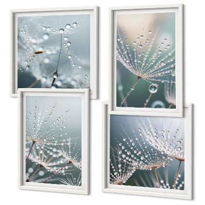 Mur de tableaux Gouttes d'eau sur les pousses de pissenlit