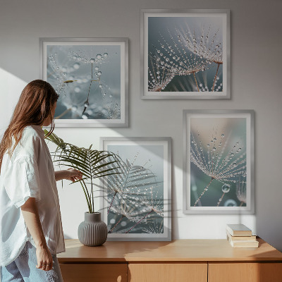 Mur de tableaux Gouttes d'eau sur les pousses de pissenlit