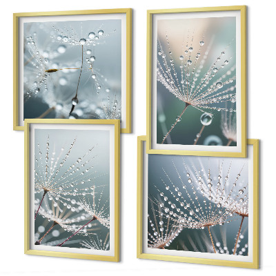Mur de tableaux Gouttes d'eau sur les pousses de pissenlit
