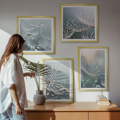 Mur de tableaux Gouttes d'eau sur les pousses de pissenlit