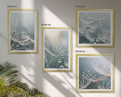 Mur de tableaux Gouttes d'eau sur les pousses de pissenlit
