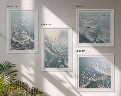 Mur de tableaux Gouttes d'eau sur les pousses de pissenlit