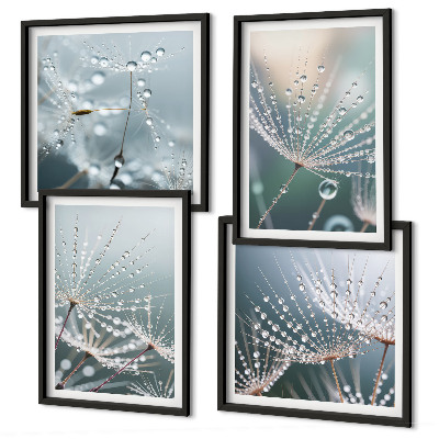Mur de tableaux Gouttes d'eau sur les pousses de pissenlit