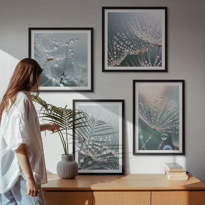Mur de tableaux Gouttes d'eau sur les pousses de pissenlit