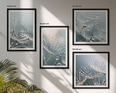Mur de tableaux Gouttes d'eau sur les pousses de pissenlit