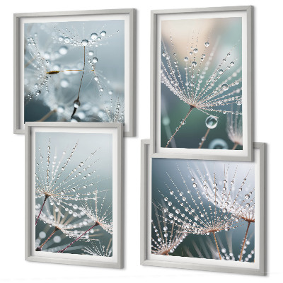 Mur de tableaux Gouttes d'eau sur les pousses de pissenlit