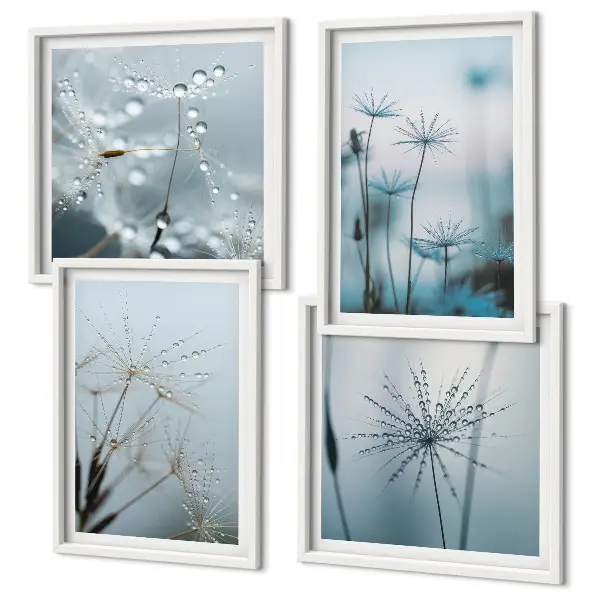 Ensemble de 4 tableaux gouttes d'eau sur fleurs de pissenlit